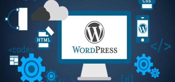 e WordPress Version and Plugins