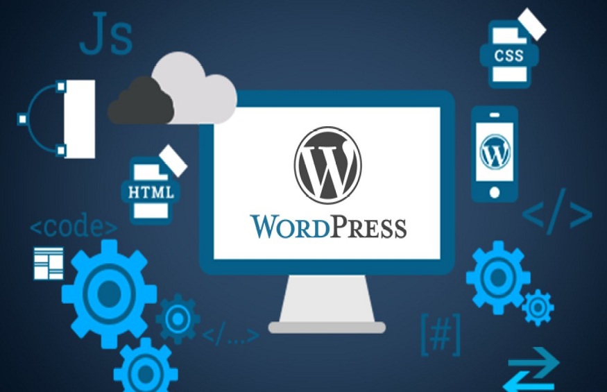 e WordPress Version and Plugins